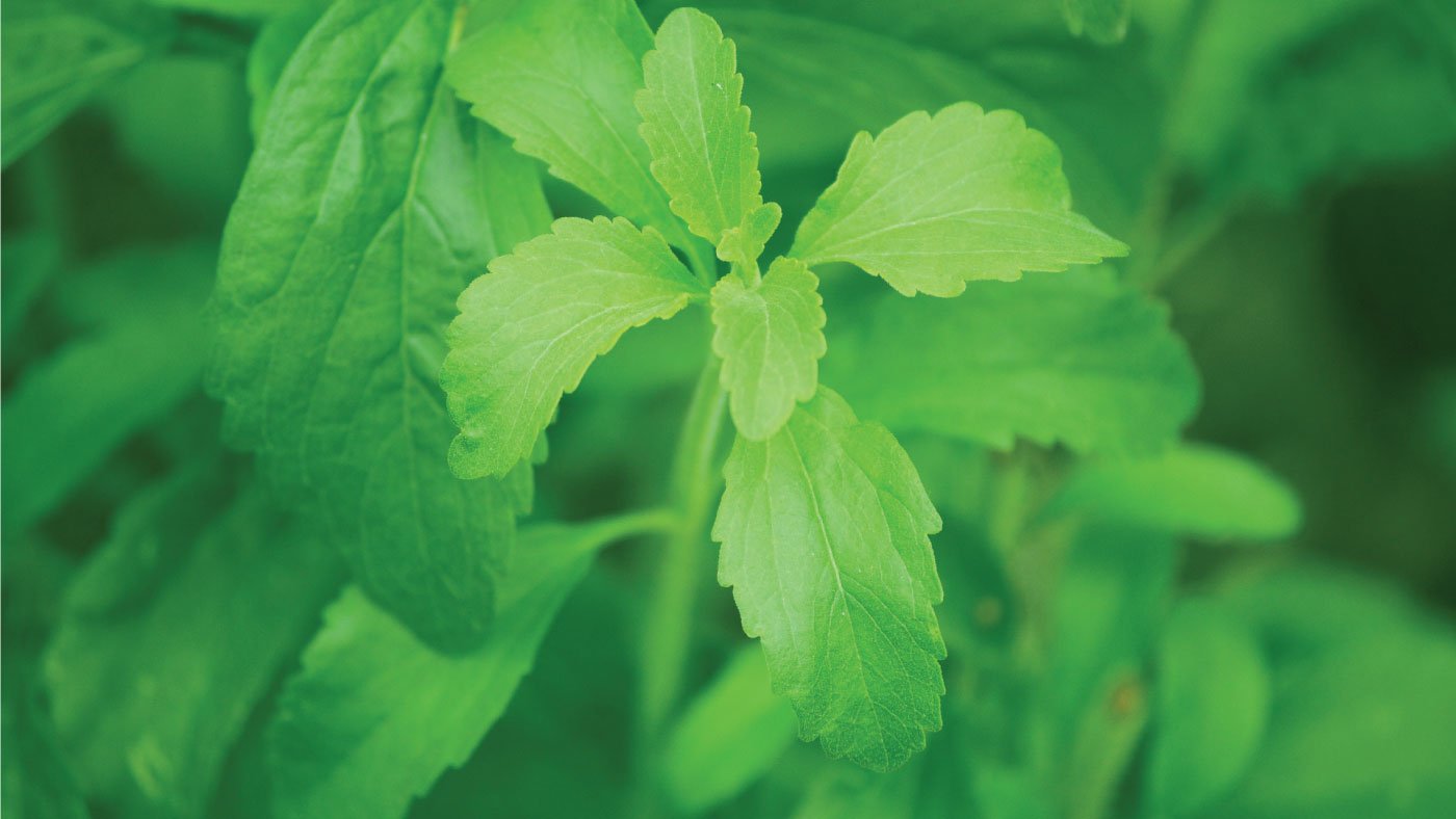 Natural Sweeteners - Tru