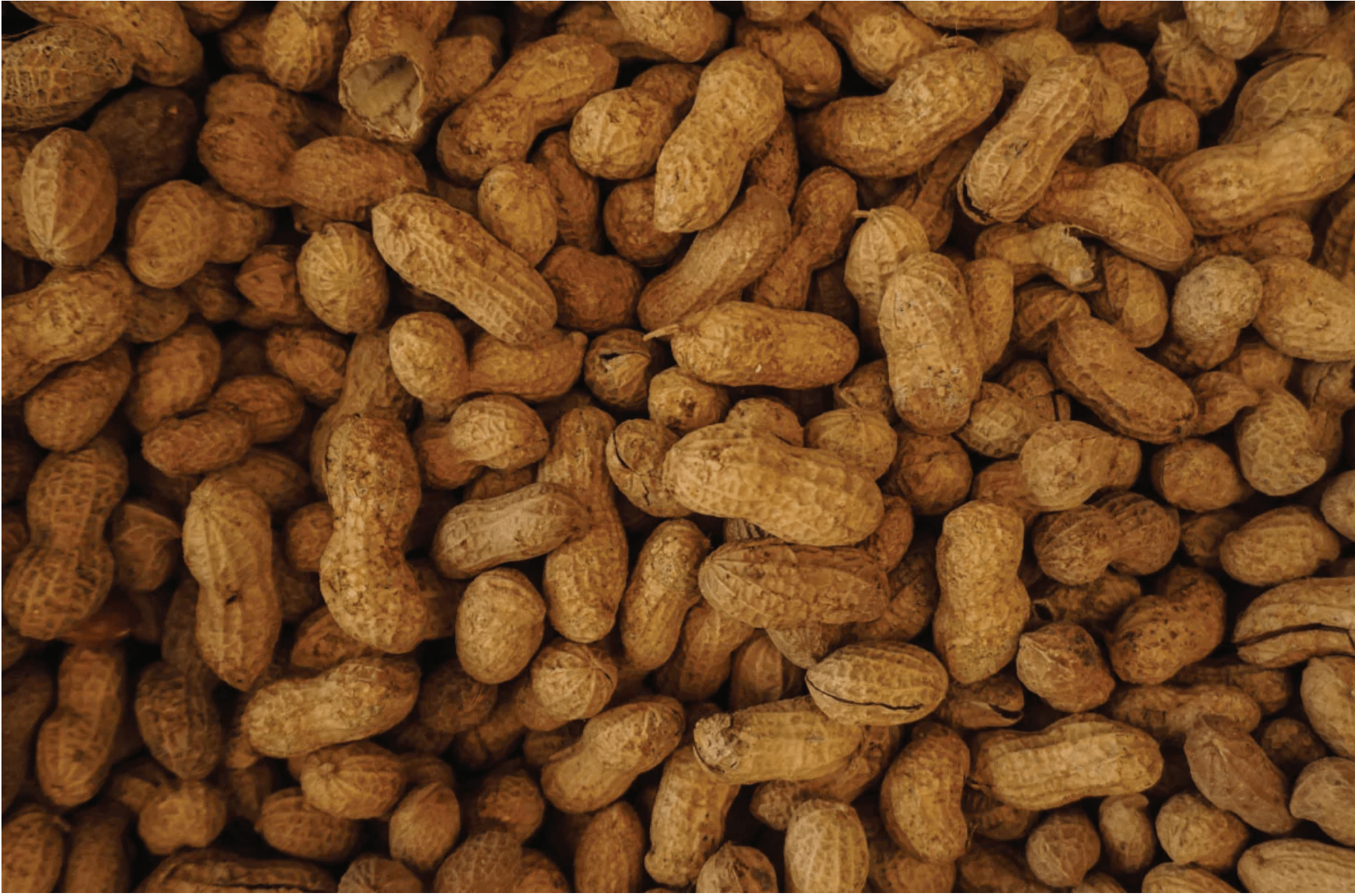 The Major 8 Allergens - Tru